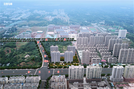 贴墙砖用什么砂浆贴